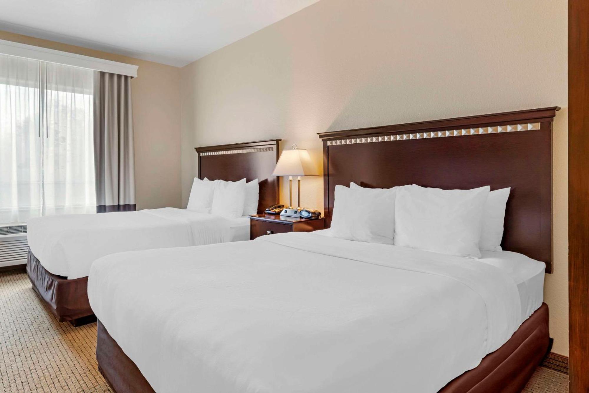 Comfort Suites Палестін Екстер'єр фото