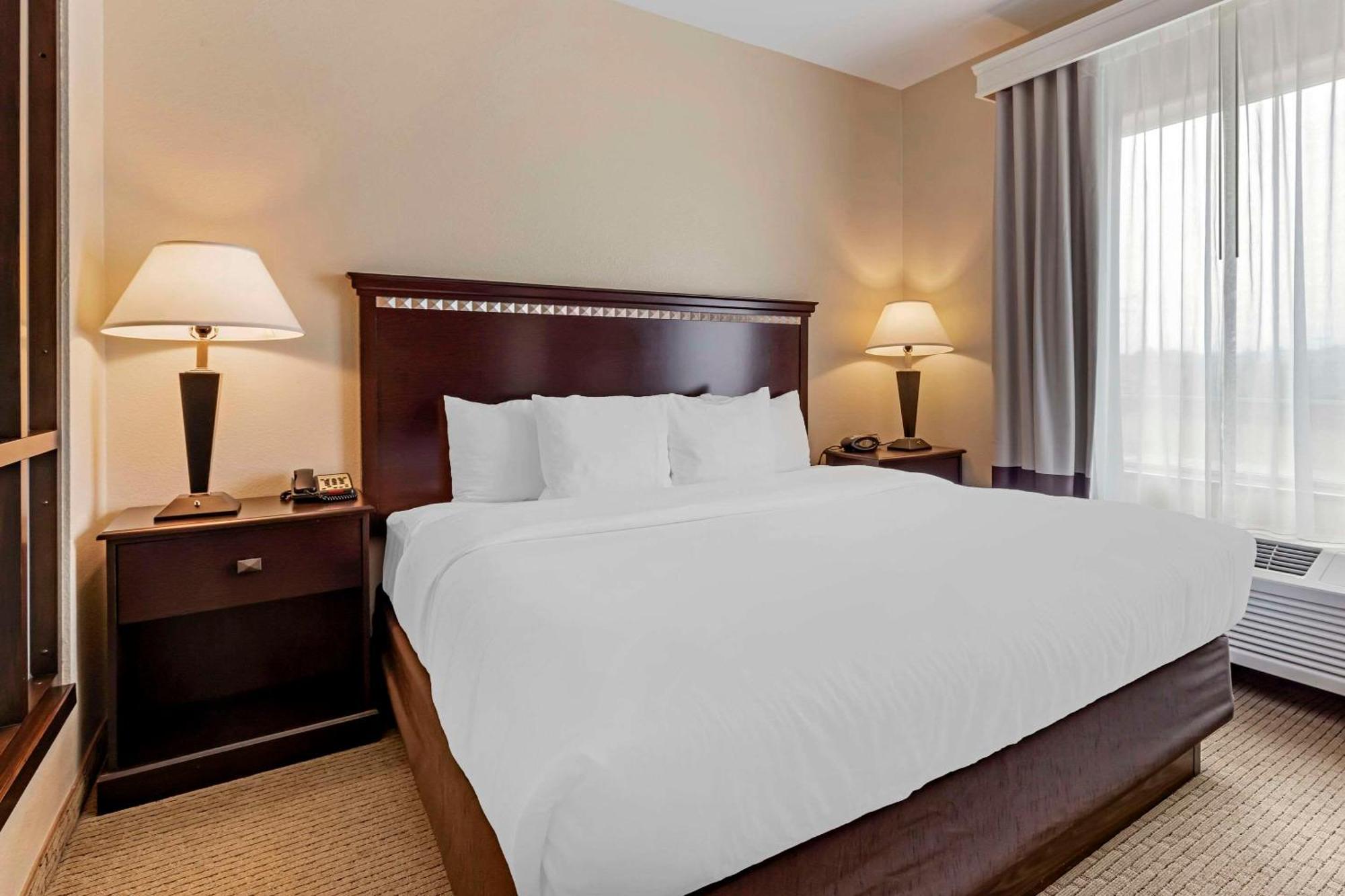 Comfort Suites Палестін Екстер'єр фото